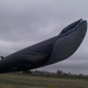 Illustration for article titled Beware the real-life, 98-foot Fail Whale who terrorizes the skies